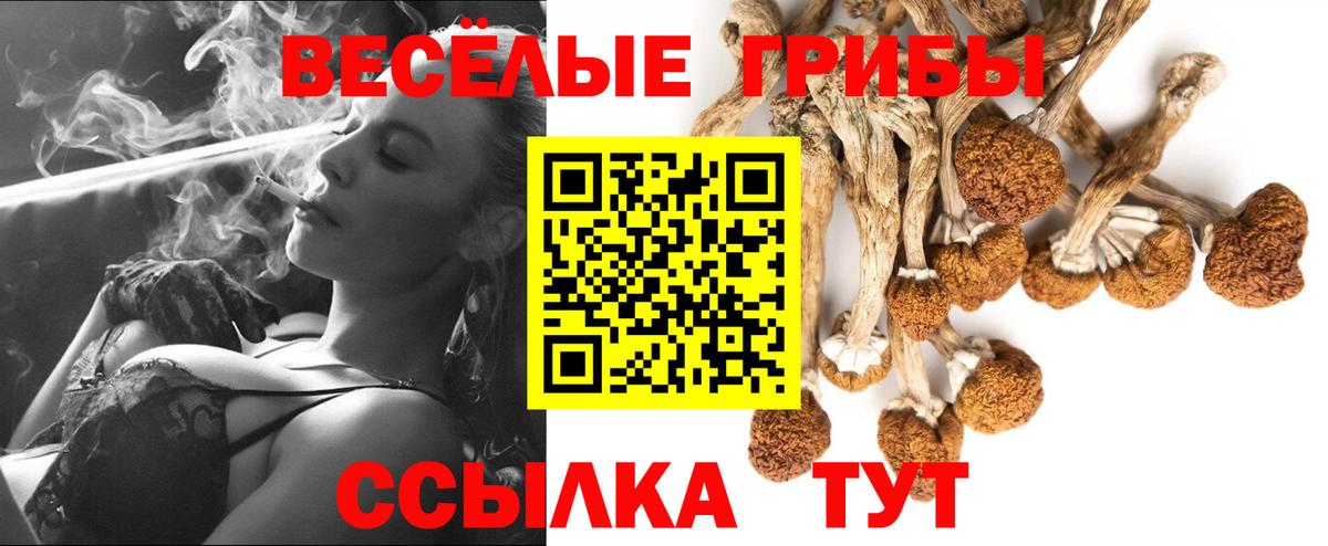 Галлюциногенные грибы Psilocybe  Вход с VPN  Псилоцибиновые грибы мицелий  Всеволожск 